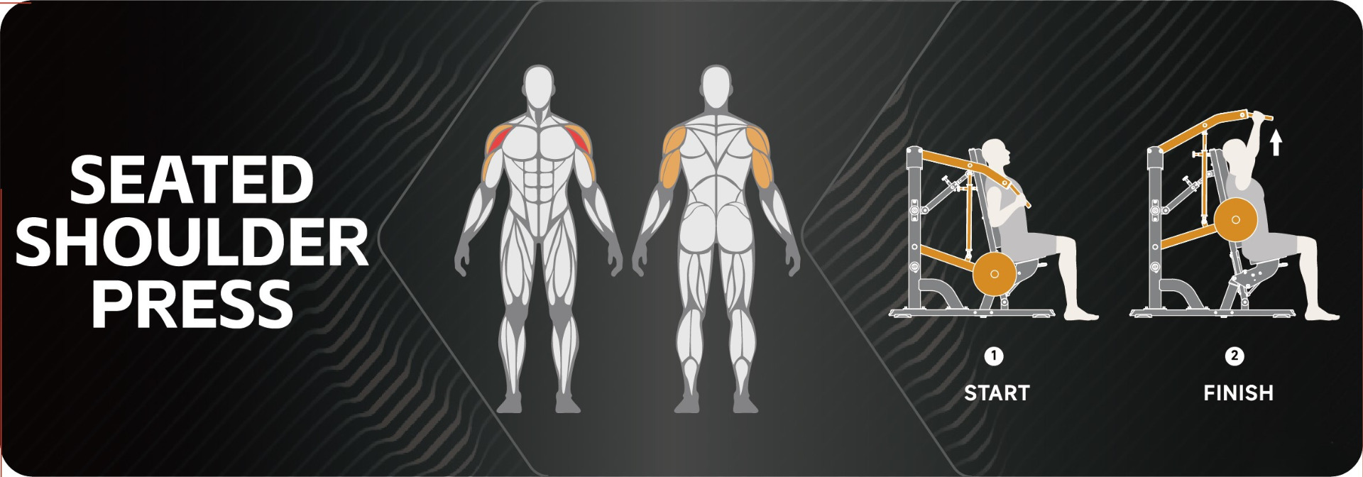 aktiverade muskler med TF Advanced PL Seated Shoulder Press