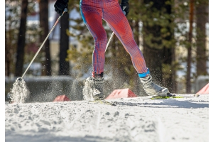 Atletiska ben åker längdskidor i pudersnö