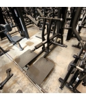 UTFÖRSÄLJNING - TF Exclusive PL, BELT SQUAT