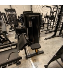 UTFÖRSÄLJNING - TF Standard WS, Biceps Curl