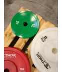 UTFÖRSÄLJNING-Viktskiva 10kg 50mm