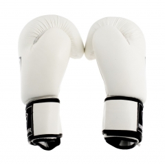 NF Basic Boxing Gloves White