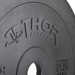 Thor Fitness 2,5KG Teknikvikt i Plast, 45cm Diameter, 15mm Tjocklek