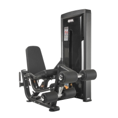 TF Standard WS, Leg Curl, Extension - Type 2