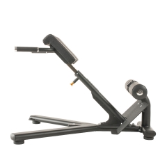TF Standard, Back extension V2
