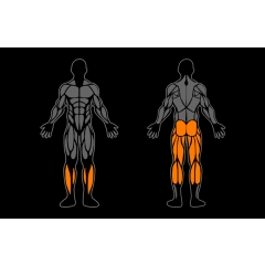 Smart Gym Standing Calf Raise