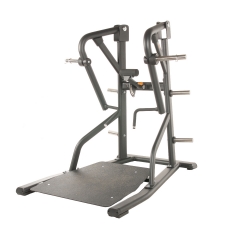 TF Standard PL, Isolateral Standing Row