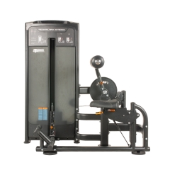 TF Advanced Abdominal/Back Extension