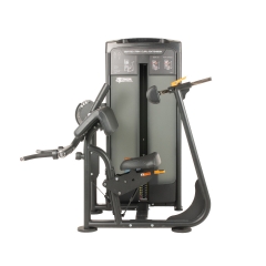 TF Advanced Biceps/Triceps