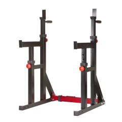 Squat Rack / Dip Stand Advanced