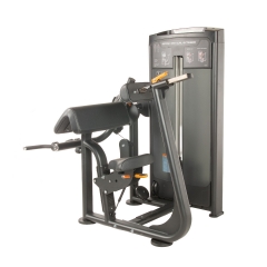 TF Advanced Biceps/Triceps