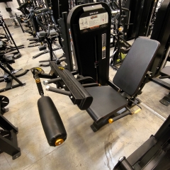 UTFÖRSÄLJNING - TF Exclusive WS, SEATED LEG CURL