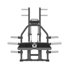 TF Advanced PL Belt Squat