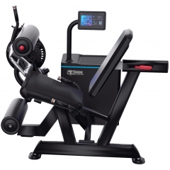 Smart Gym Leg Extension / Leg Curl