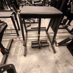 UTFÖRSÄLJNING - Thor Fitness Reverse Hyper