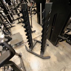 UTFÖRSÄLJNING - Vertical Dumbbell Rack 10 Pairs