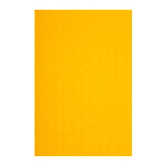 Judomatta, 1 x 1m. 230 densitet, med antiglid - Orange