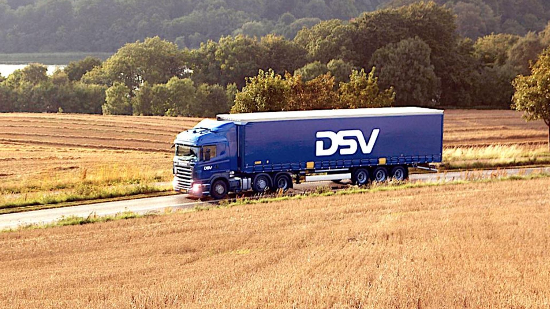 DSV